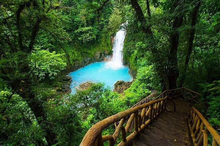 WILDLIFE EXPERIENCE – RÍO CELESTE